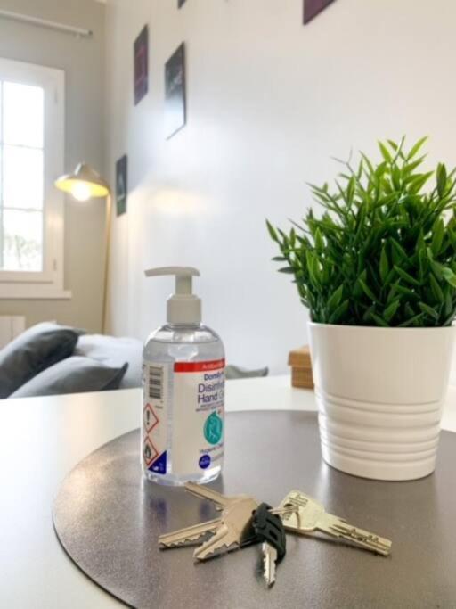 Apartment Cosy Climatise Et Parking Securise A Proximite Du Centre De Lyon