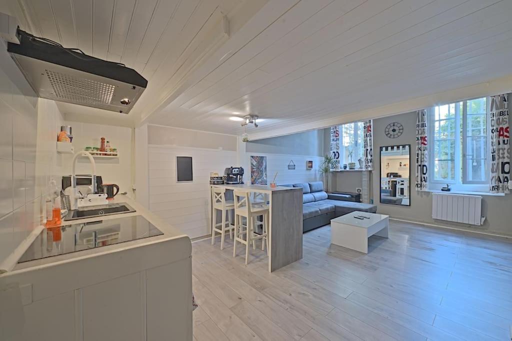 « Le Vieux Lyon » 45 M2 Tt Equipe Clim Lyon