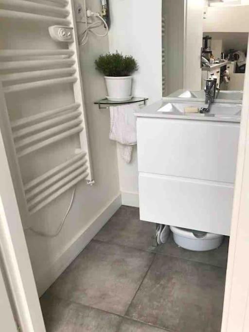 La Parenthese Lyonnaise Appartement