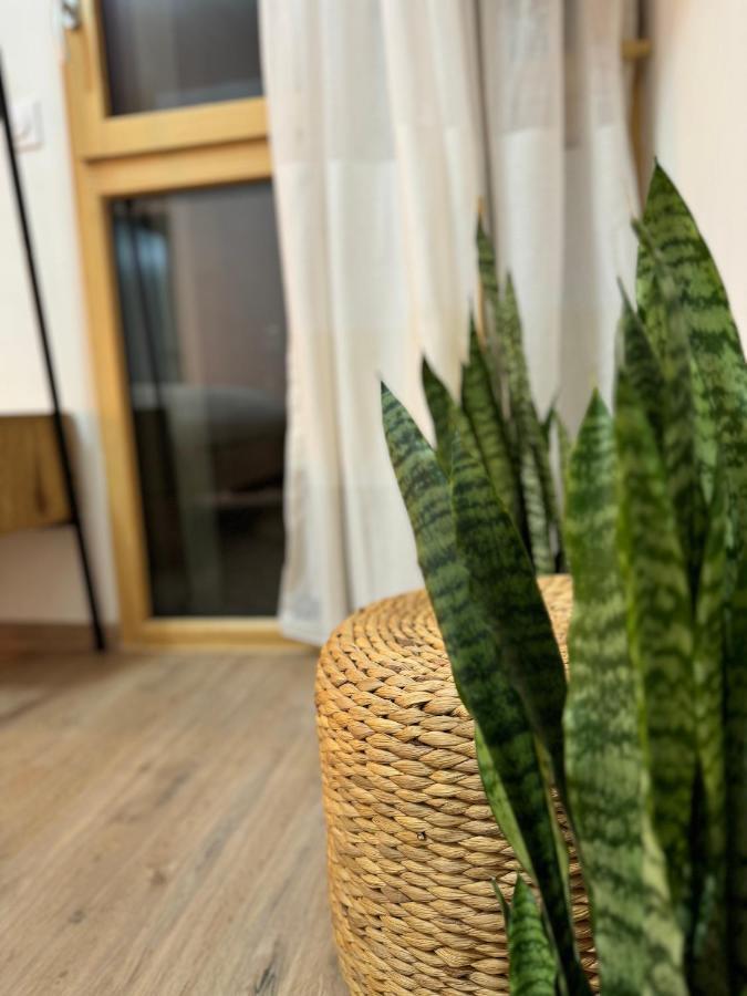 Apartment Gare Part-dieu