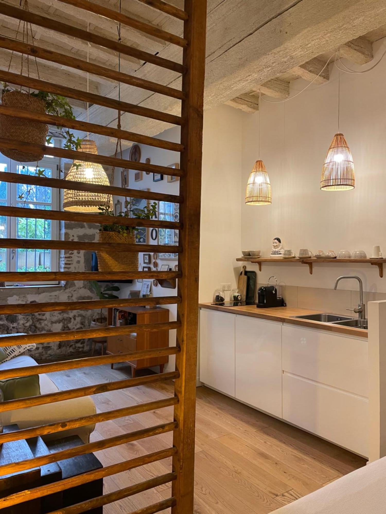 Le Jardin Suspendu Vieux-lyon - Option Garage Apartamento Lyon