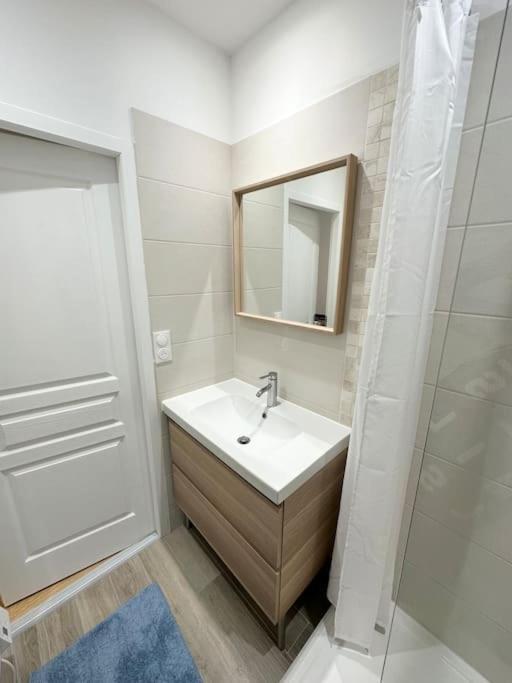 Magnifique T2 35m2 Prox Gare Apartment Lyon