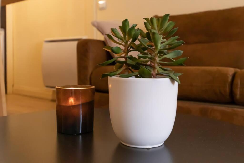 Apartment & Le Petit Marronnier / Place Bellecour 2 *