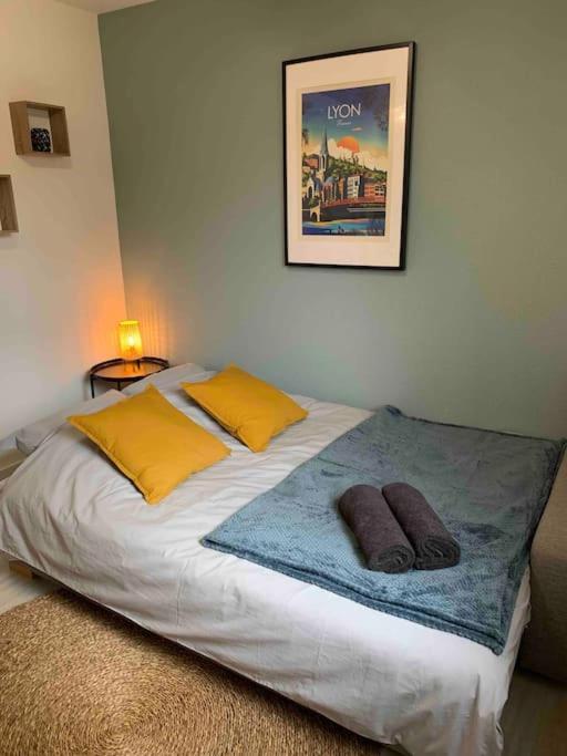 Le Pensier - Monplaisir Apartment Lyon