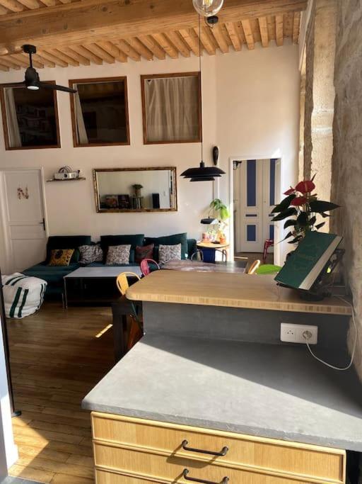 Beau T3 Canut Lumineux De 75m2 * Lyon