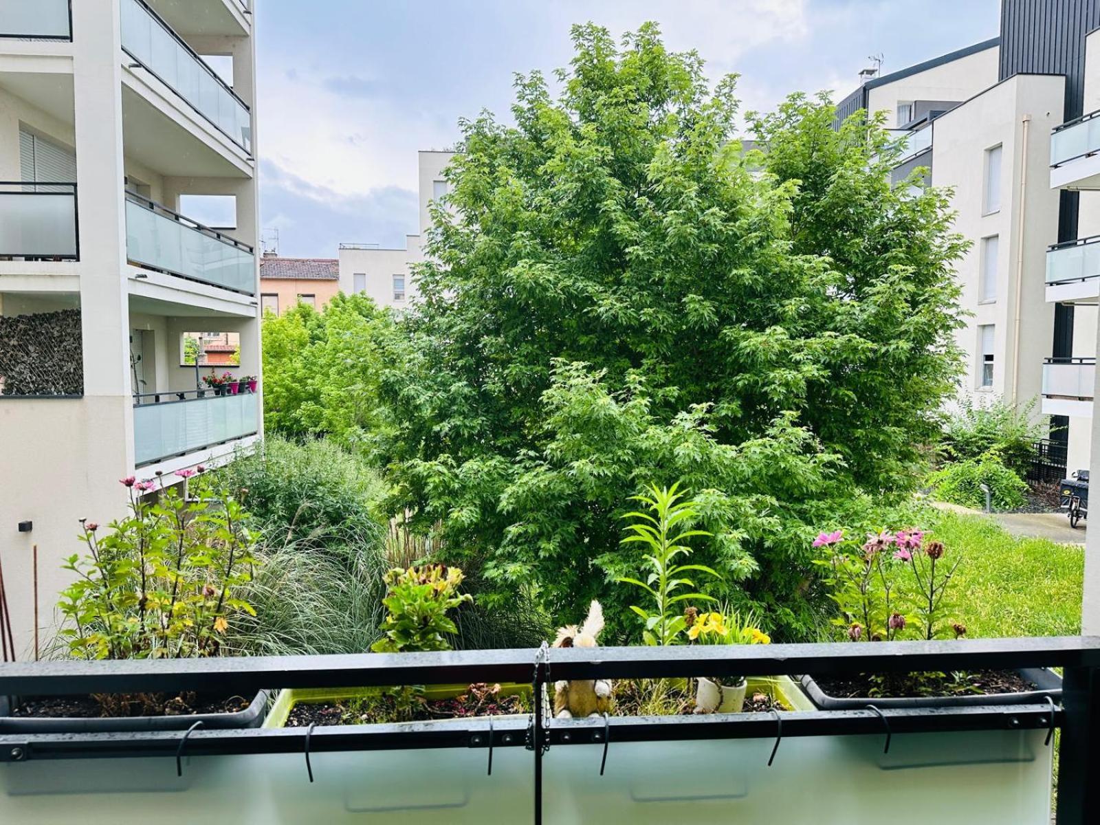 Apartment Grand Et Confortable