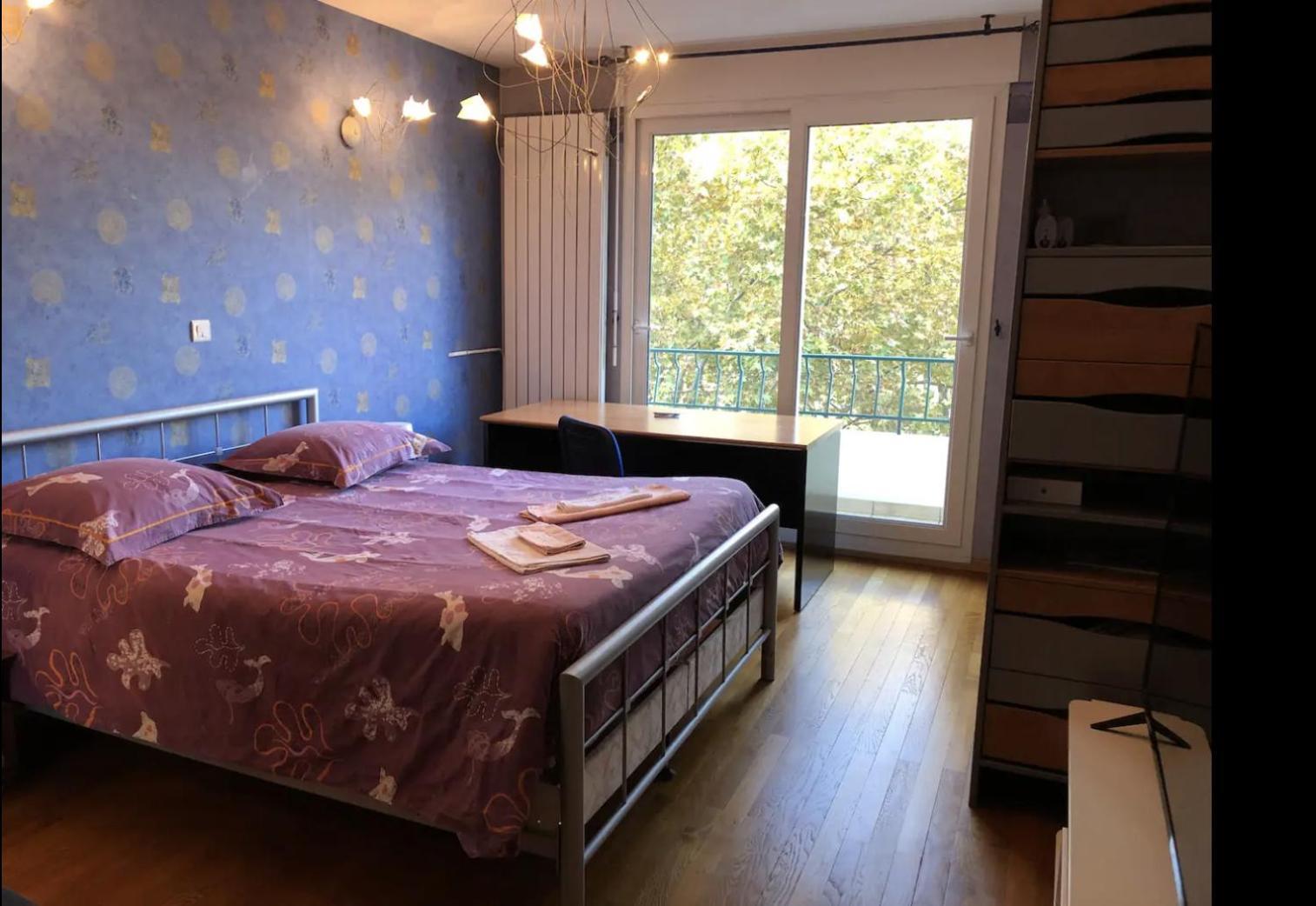 Appartement Avec Vue Sur Le Parc De La Tete D'or Lyon