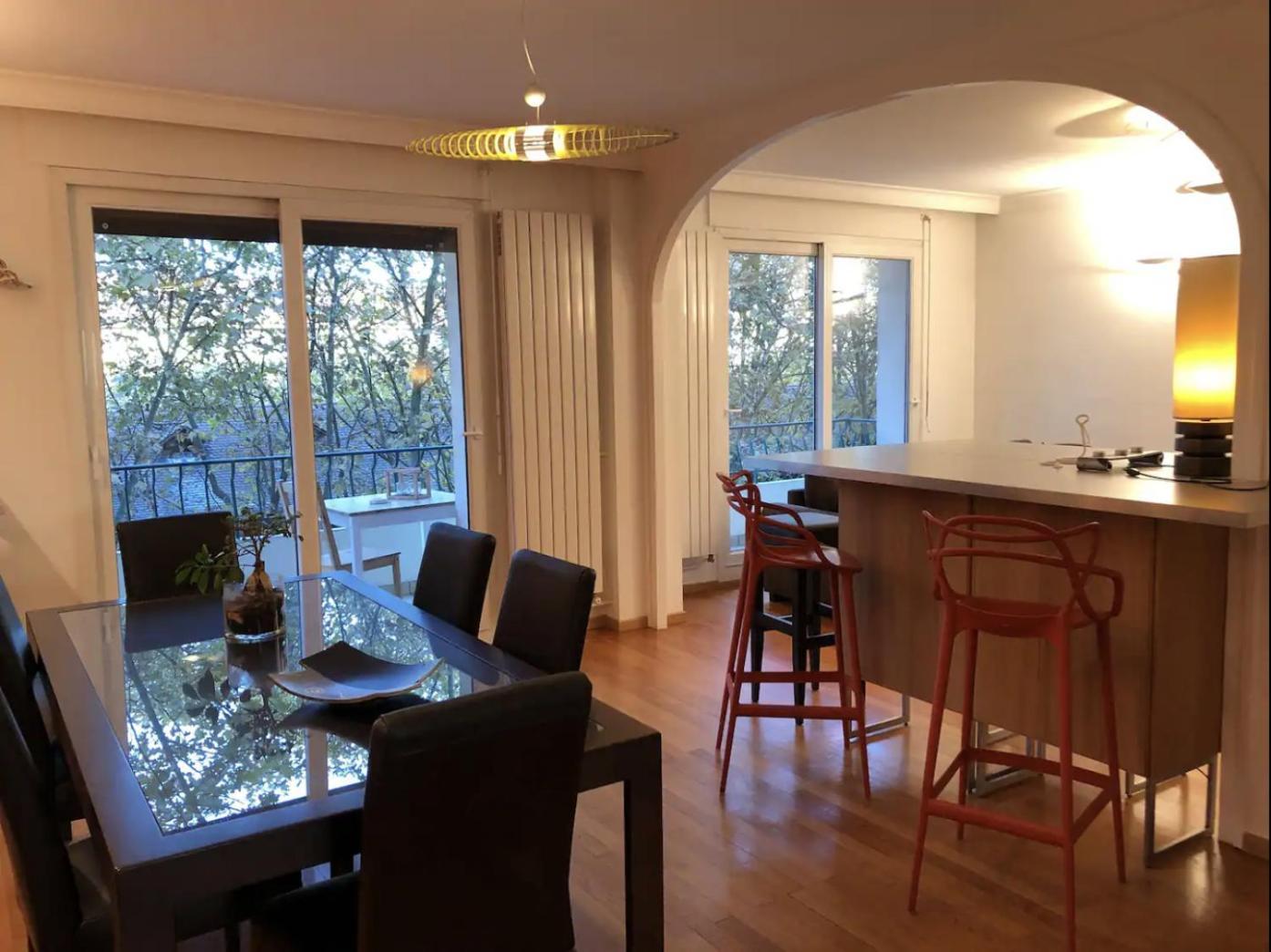 Appartement Avec Vue Sur Le Parc De La Tete D'or Lyon