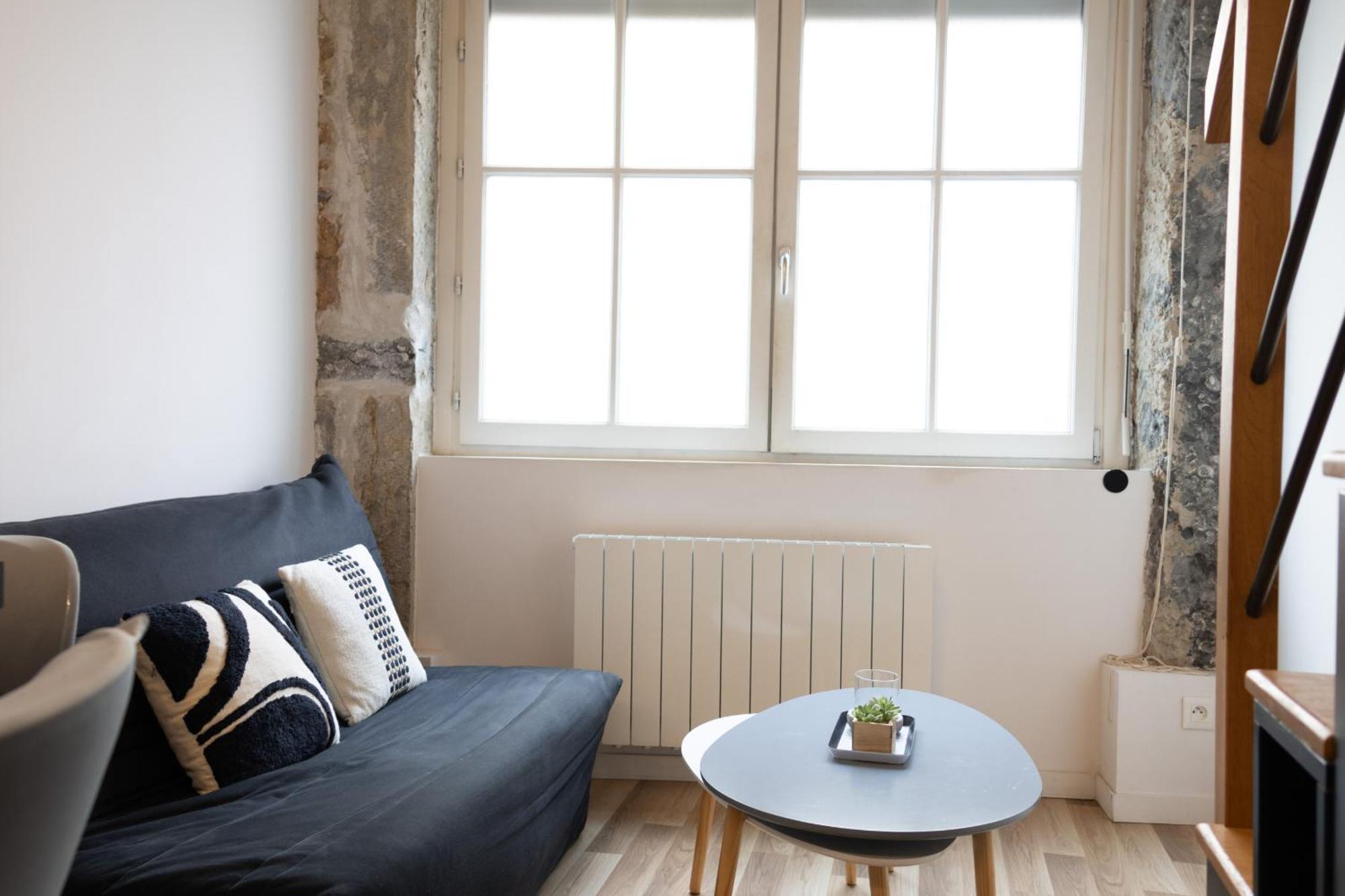 Dify Henri Gorjus - Croix-rousse Appartement