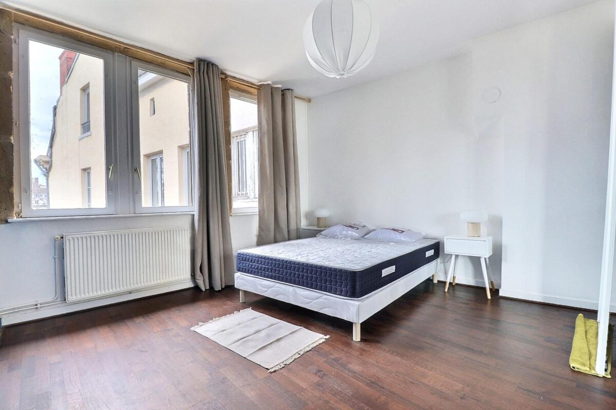 Le St Georges - Charming & Spacious Flat - 5th Apartamento Lyon