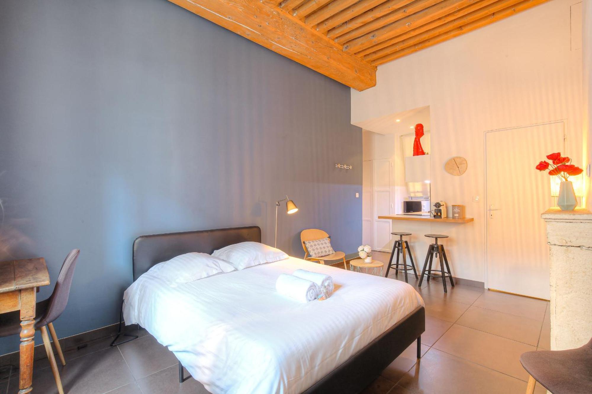 Apartment Dify Ainay Lyon