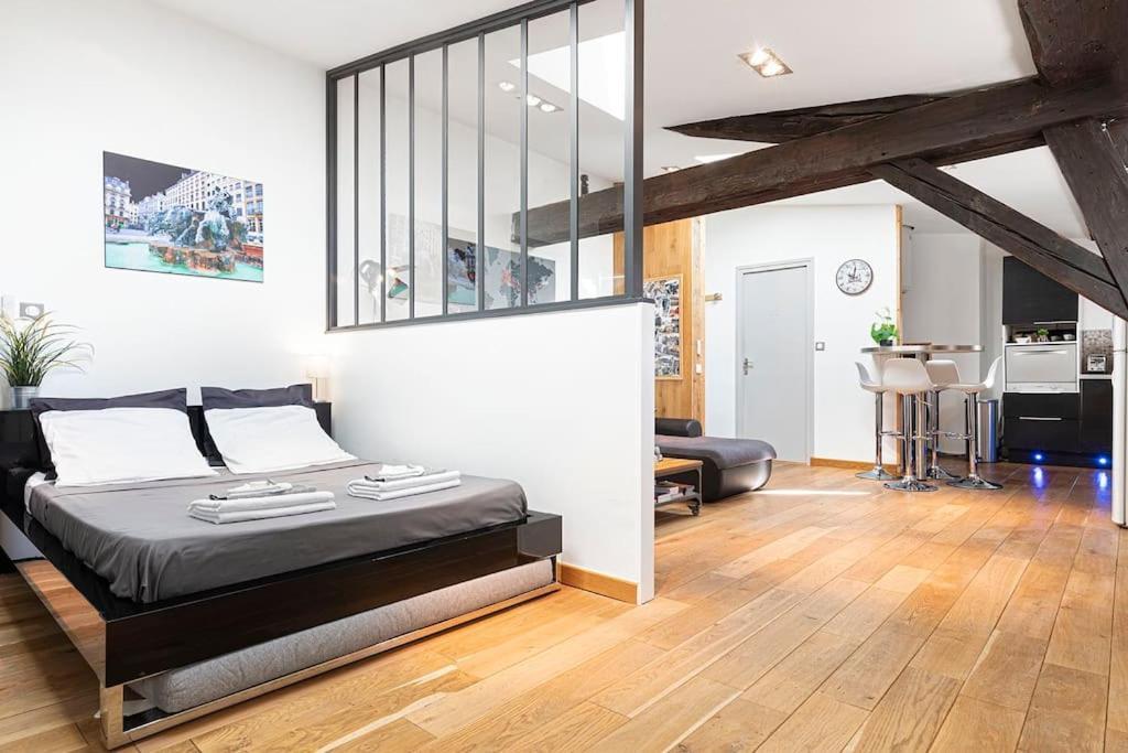 Loft De Charme Proche Hotel-de-ville - 1er * Lyon