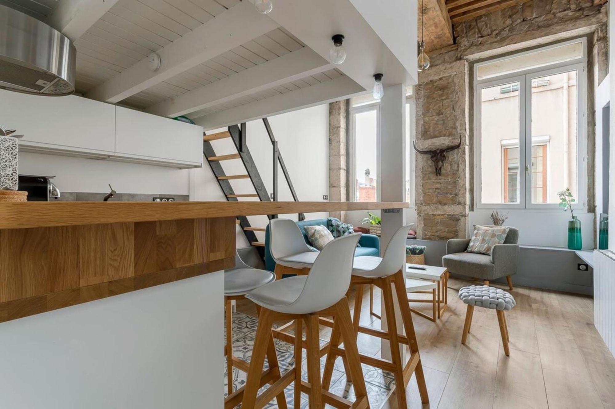 Burdeau 1st Arrondissement Appartement Lyon