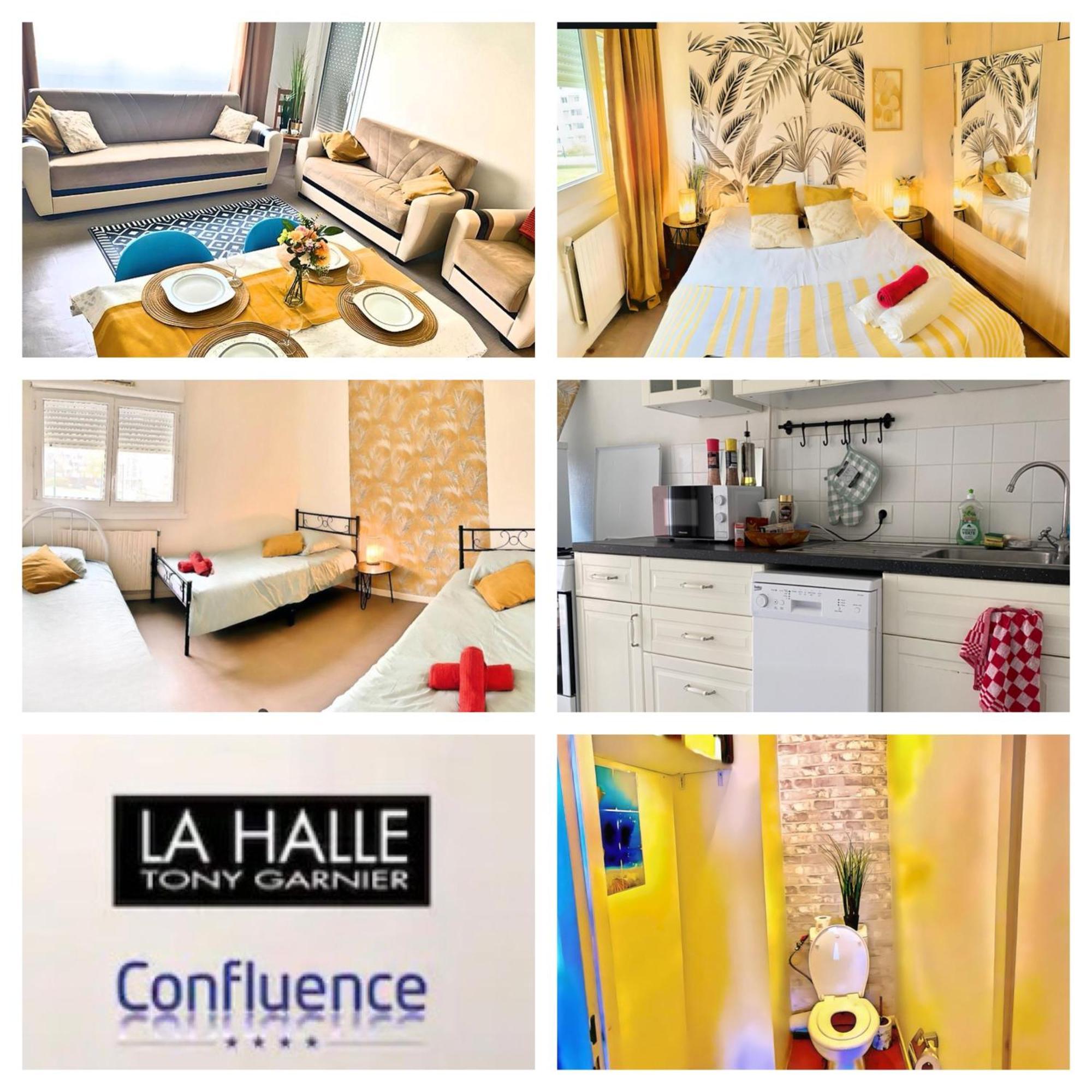Villa Lumineux Et Spacieux Au Centre-ville De Lyon