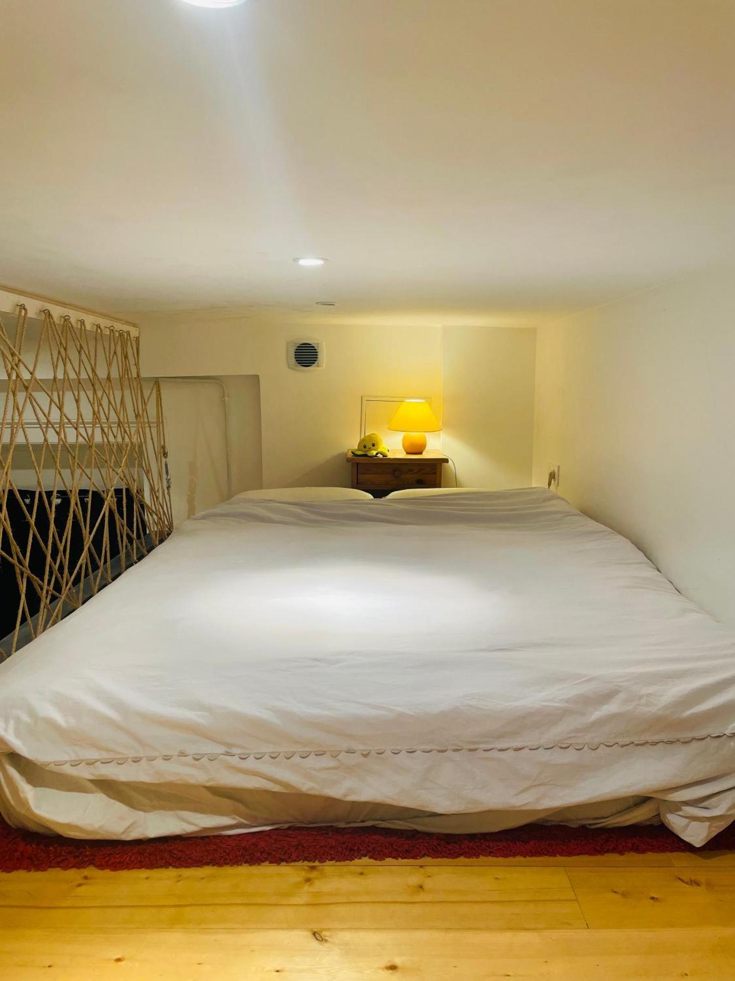 Le Cocon Lyonnais Appartement