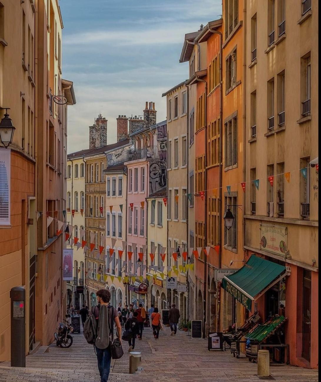 Le Cocon Du Papillon Bleu I 2 Parentales Avec Terrasse En Plein Coeur De I Parking Inclus Lyon