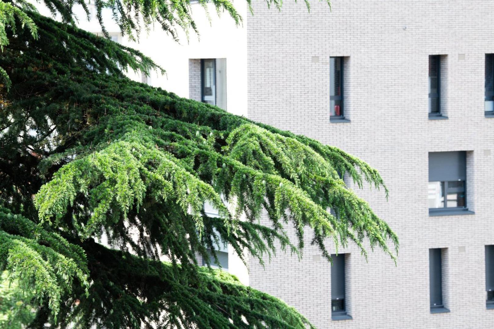 Le 27 - 3*** Cosy A Parking Apartment *