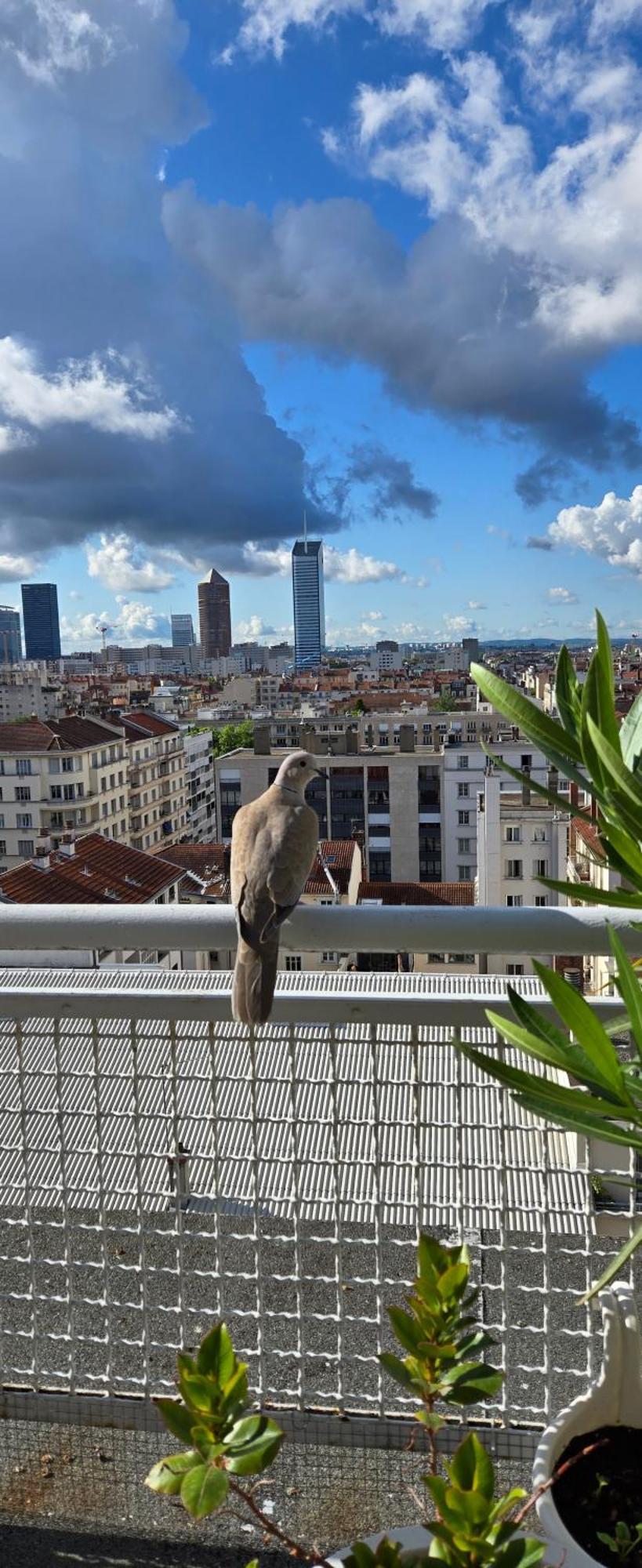 Plein Sud Terrasse Climatisation Garage Netflix Appartement Lyon