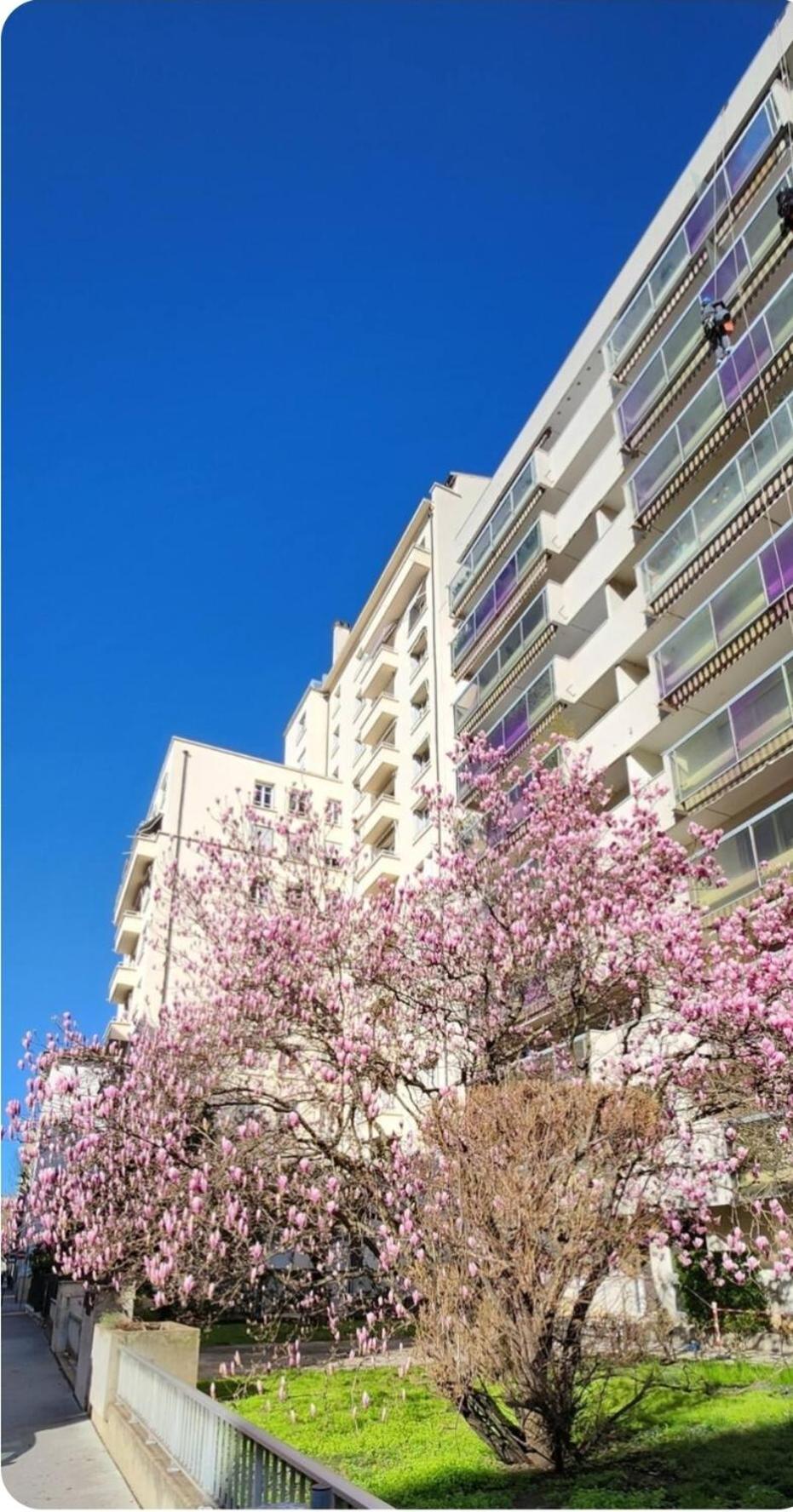 Plein Sud Terrasse Climatisation Garage Netflix *