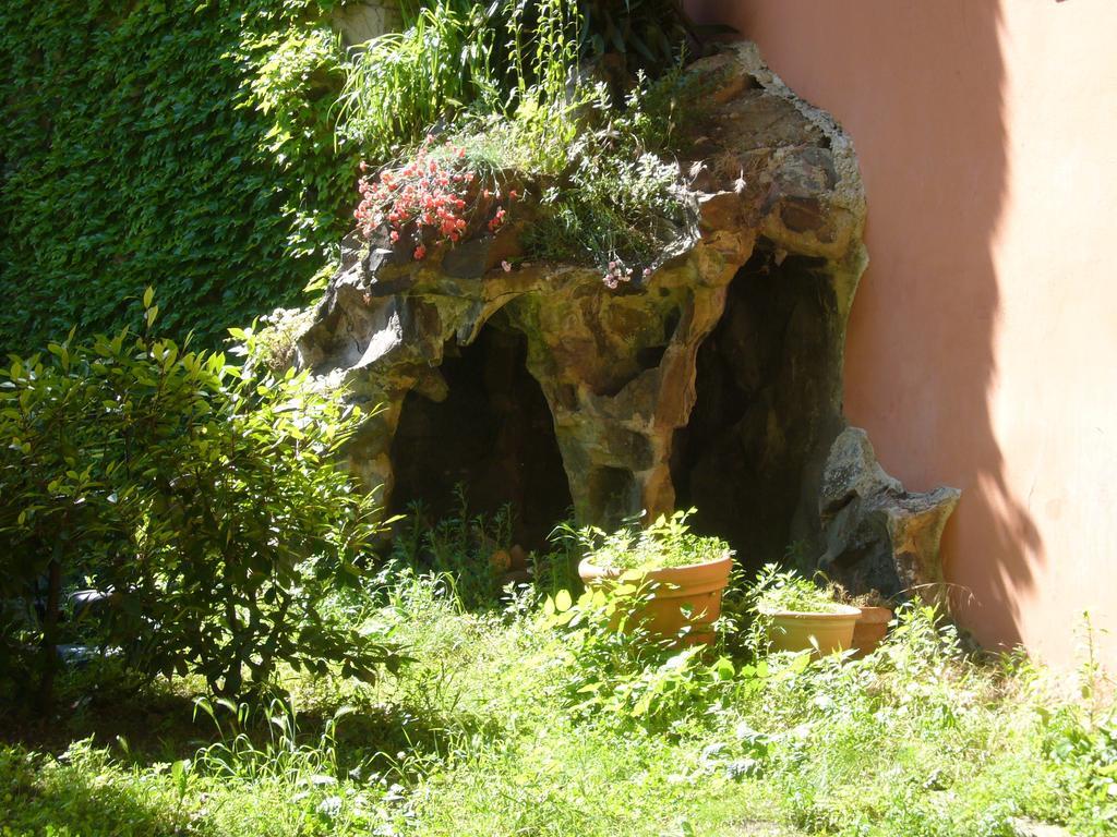 Le Jardin De Beauvoir Lyon