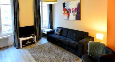 Appartement Ambiance - Moncey Lyon