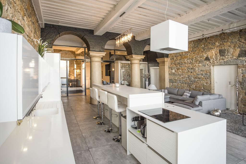 Le Loft D'herbouville Appartement Lyon