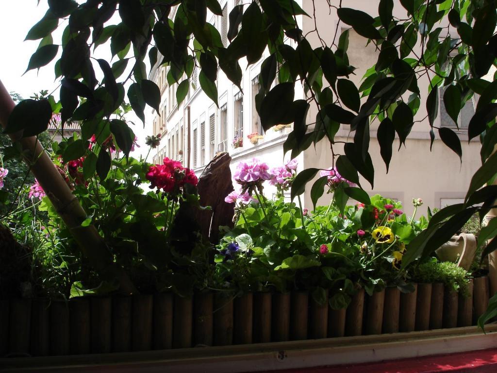 Les Soyeuses Maison d'hôtes Lyon