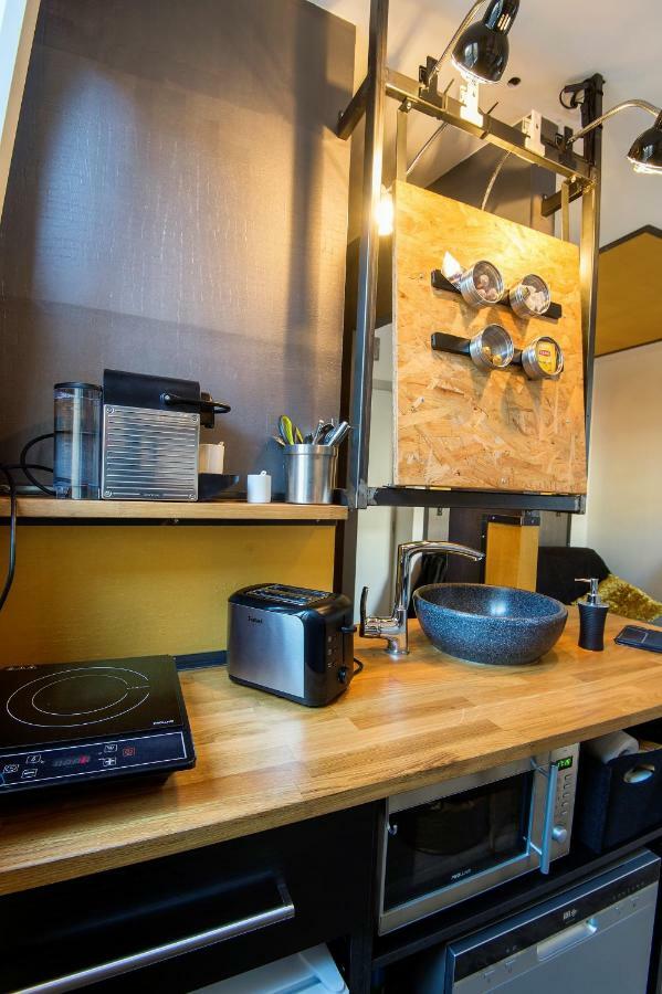 Ministeel Loft Brotteaux Part-dieu Apartment