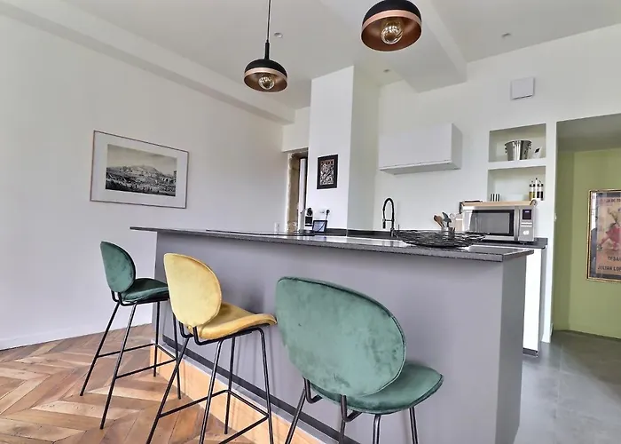 Appartement Entier - Refait A Neuf - Loft - City Center