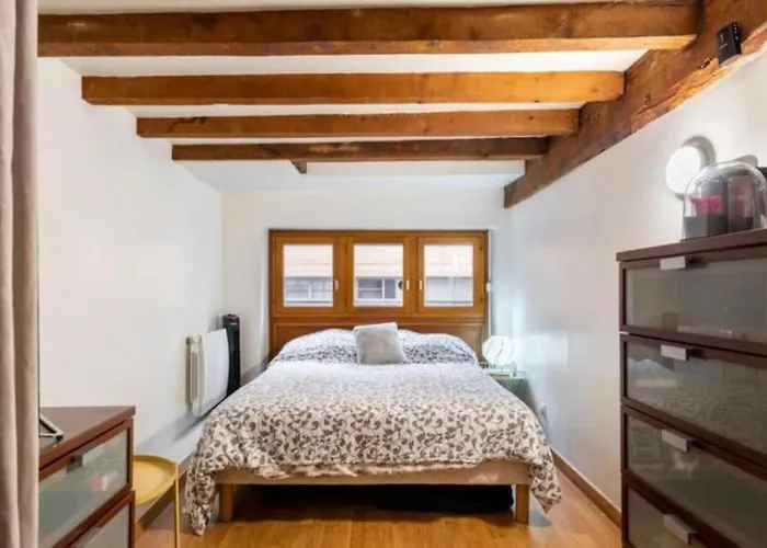 Duplex Atypique Loft Lyon 6