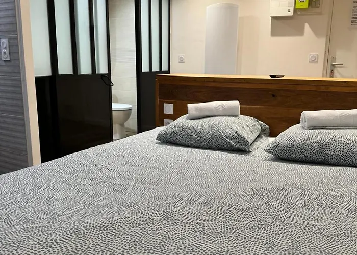 Charming Studio For 2 Guests Quai De Saone