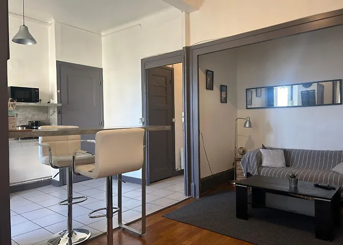 Spacieux Cosy - 1 Chambre Appartement - Lyon Perrache Confluence 50 M2