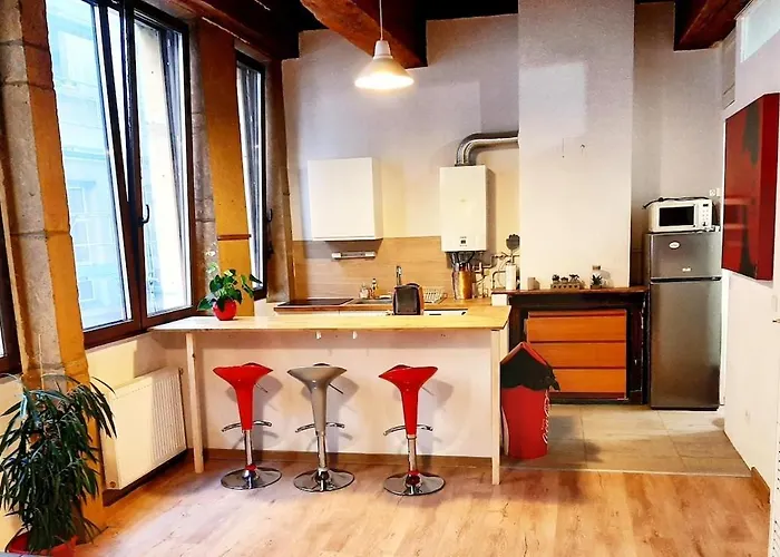 Lyon Centre Warm Apartment Full Of Charm