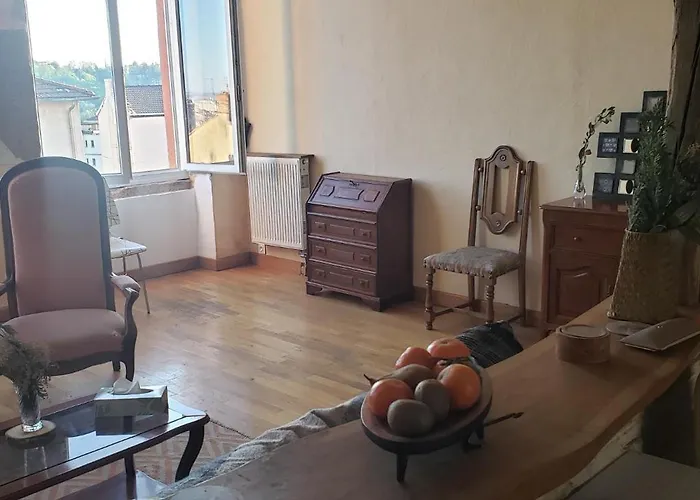 Charmant Appartement Croix Roussien Lyon