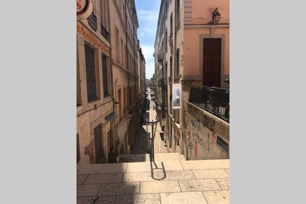 Apartment Entier - Refait A Neuf - Loft - Center Lyon