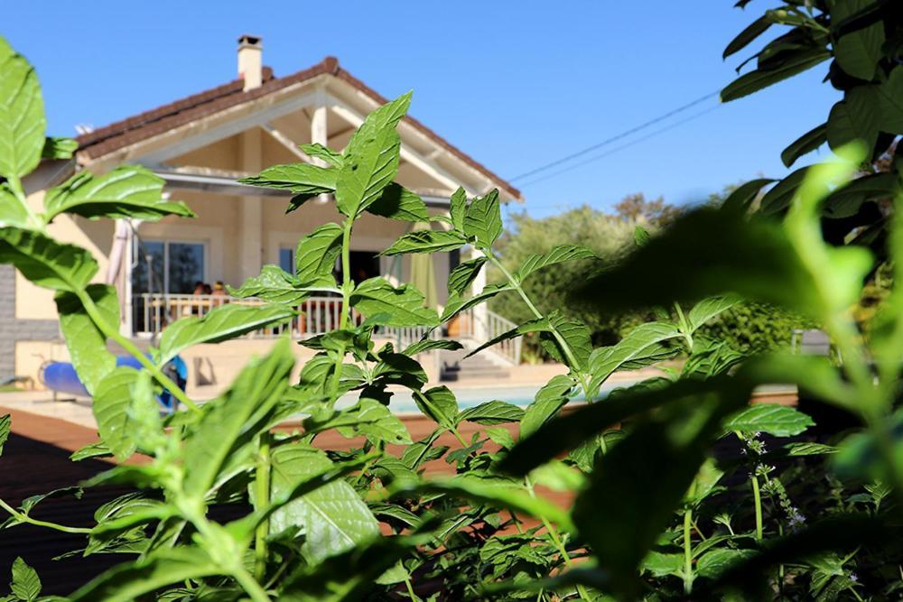 Maison Les Coquelicots *