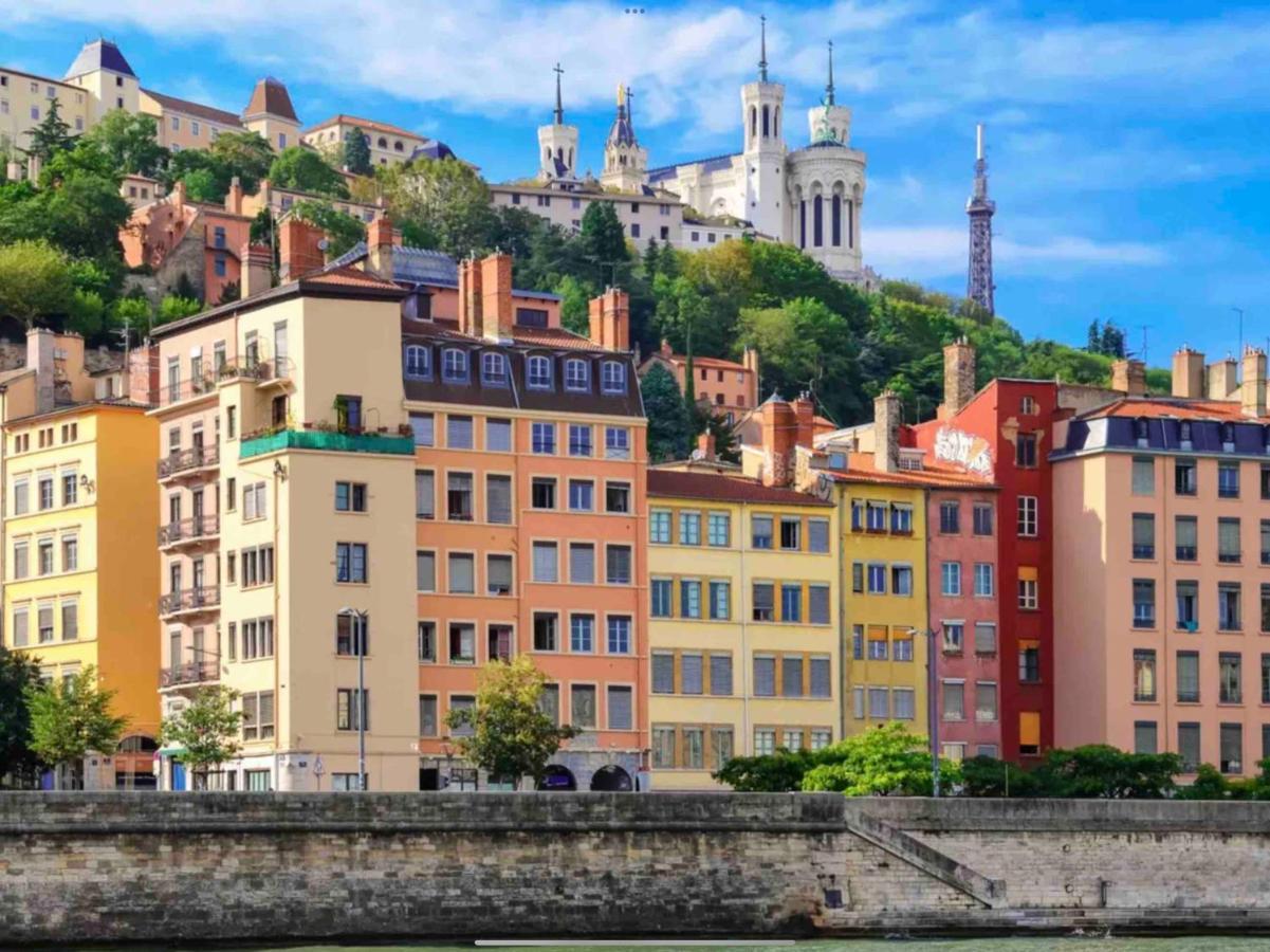 Beau Duplex Avec Jardin Et Vue Lyon