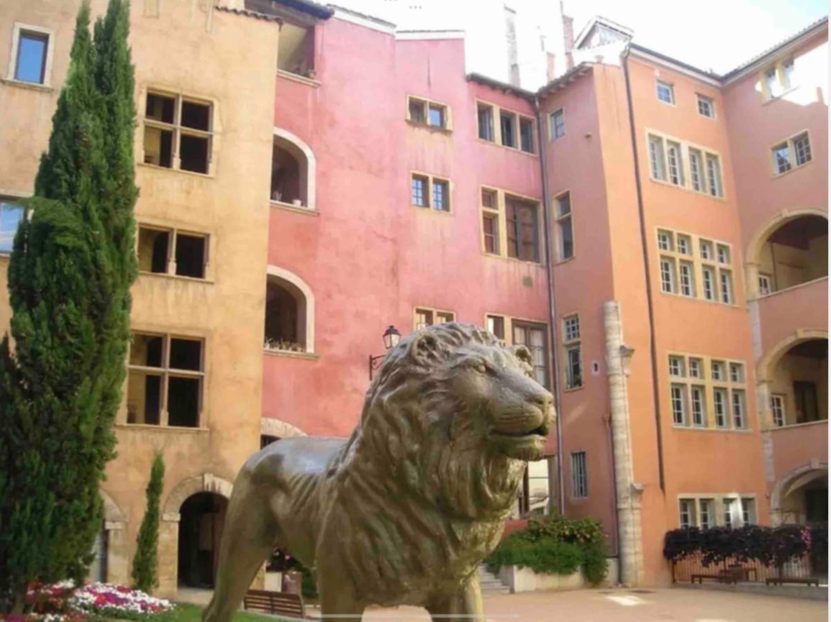 Apartment Beau Duplex Avec Jardin Et Vue Lyon