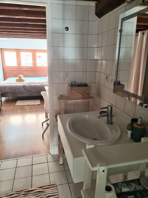 Duplex Atypique Loft 6