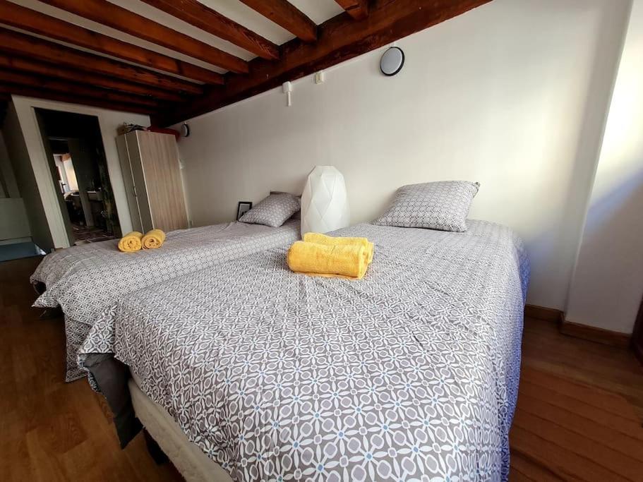Duplex Atypique Loft 6 Apartment