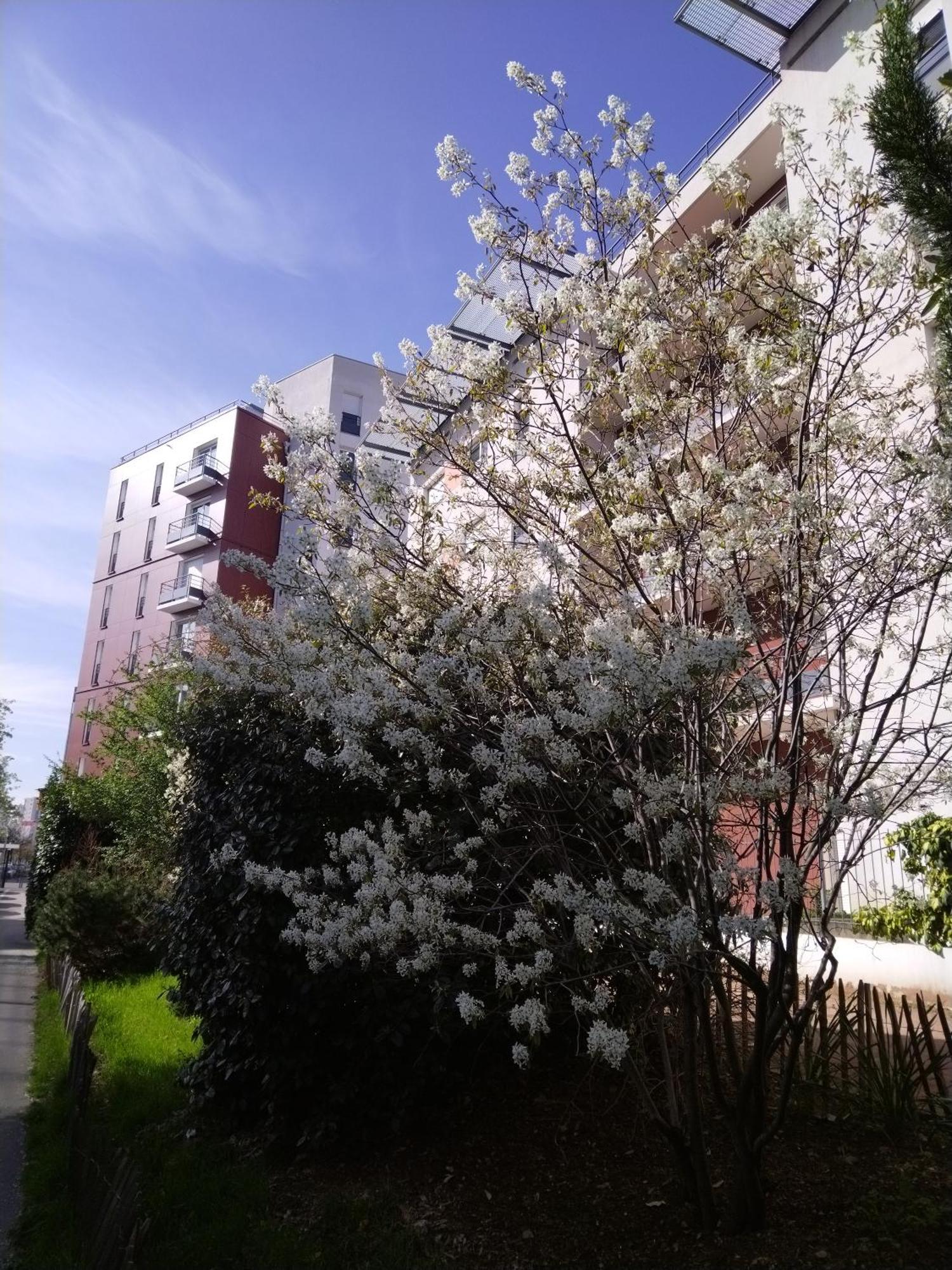 Privilodges Lumiere 3*