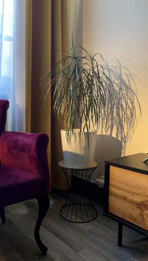 Apartment Chic & Elegance Centre Lyon