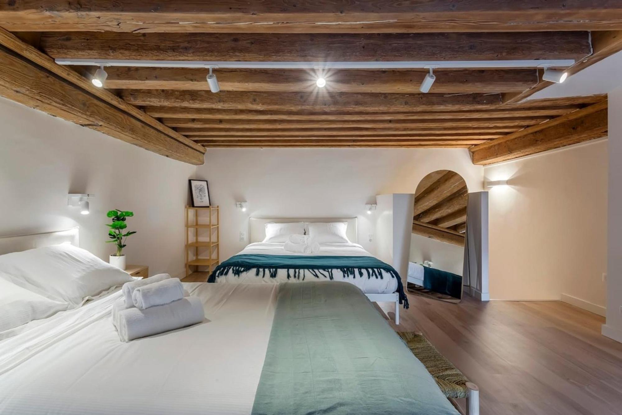 Charming Duplex Nest Newly Renovated Lyon