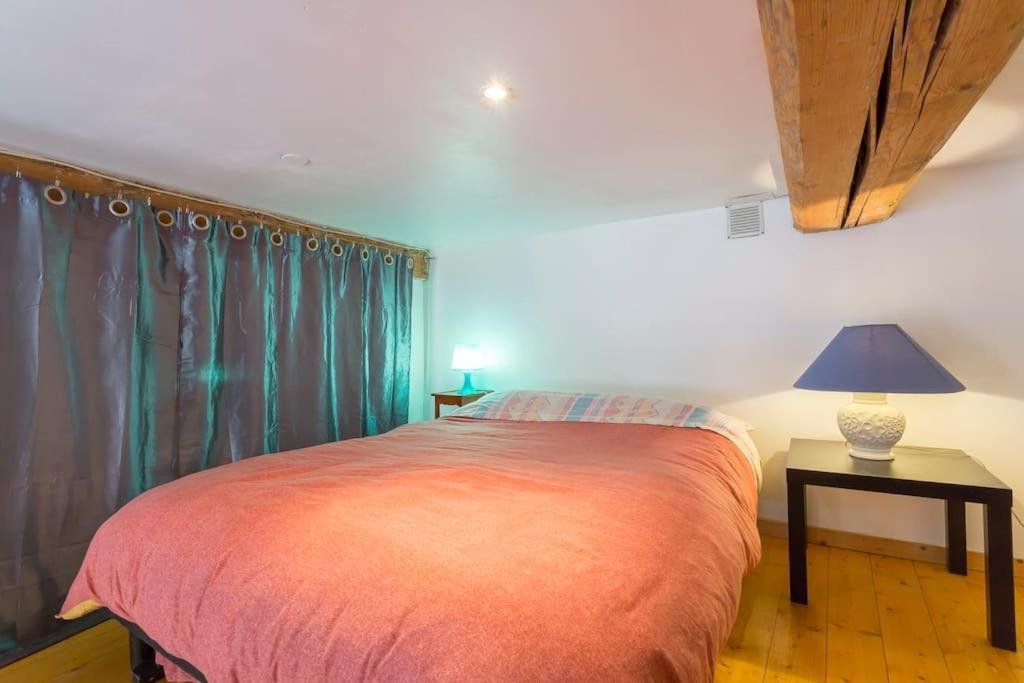 Beau Canut A Cote Du Gros Cailloux Appartement Lyon