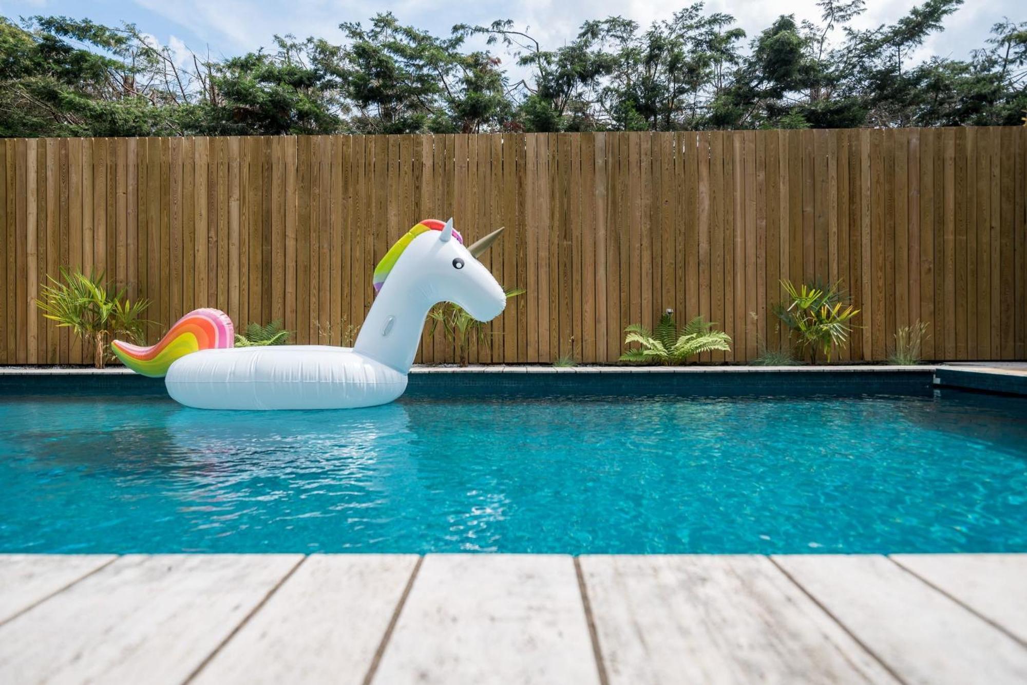 Villa Particulier Vintage And And Design House With Pool Lyon