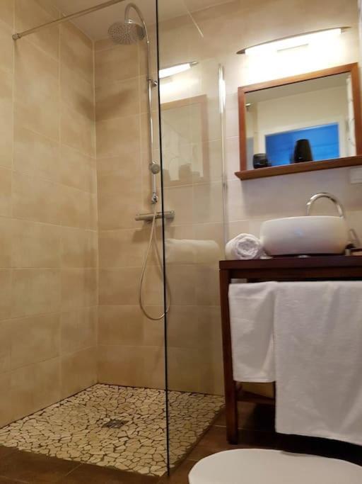 Superbe Duplex, Pentes Croix-rousse, 4eme Apartment