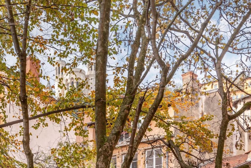 Apartamento Le Cocon De Saint-jean Lyon