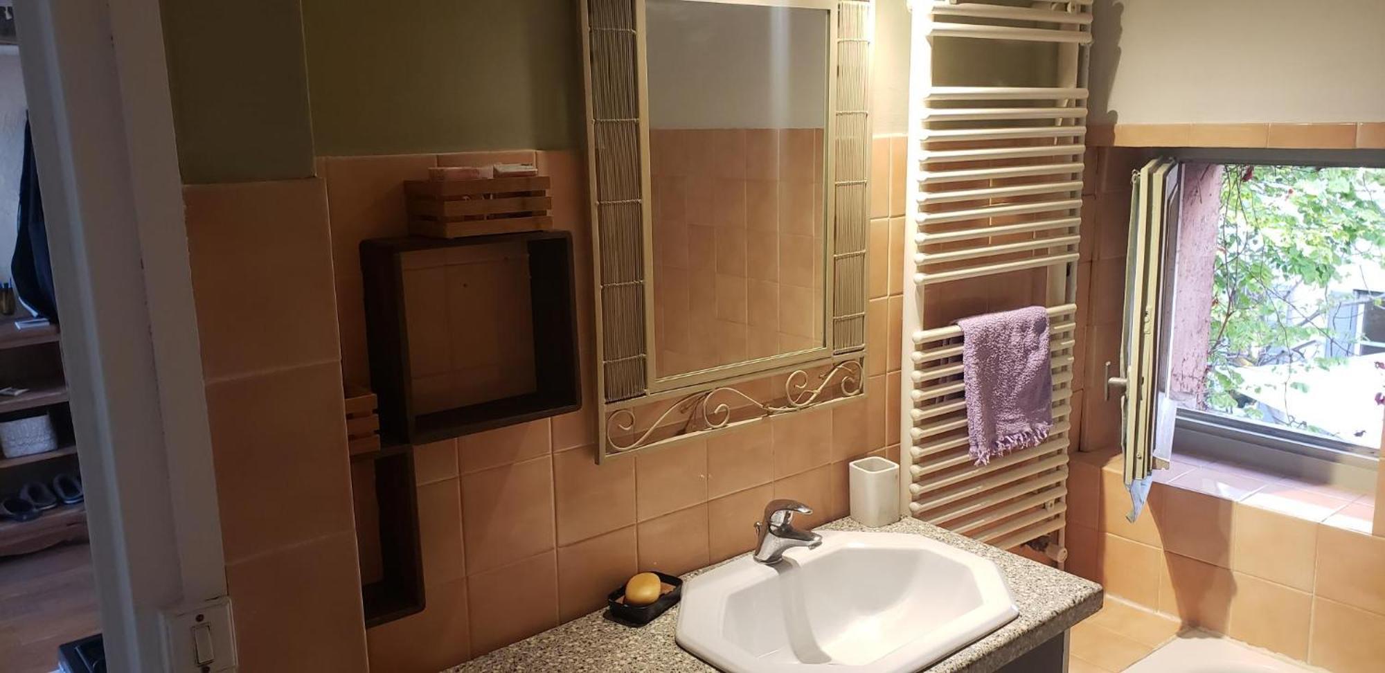 Appartement Croix Roussien Lyon