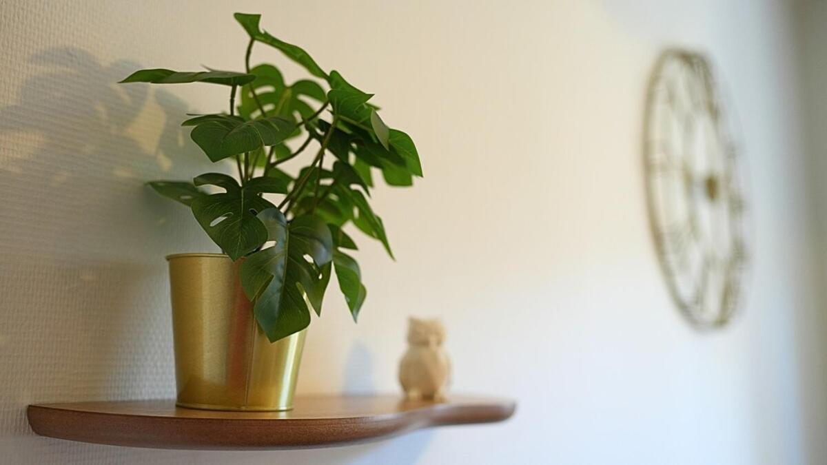 Apartamento Cosy Et Design Entre Partdieu Et Charpennes Lyon