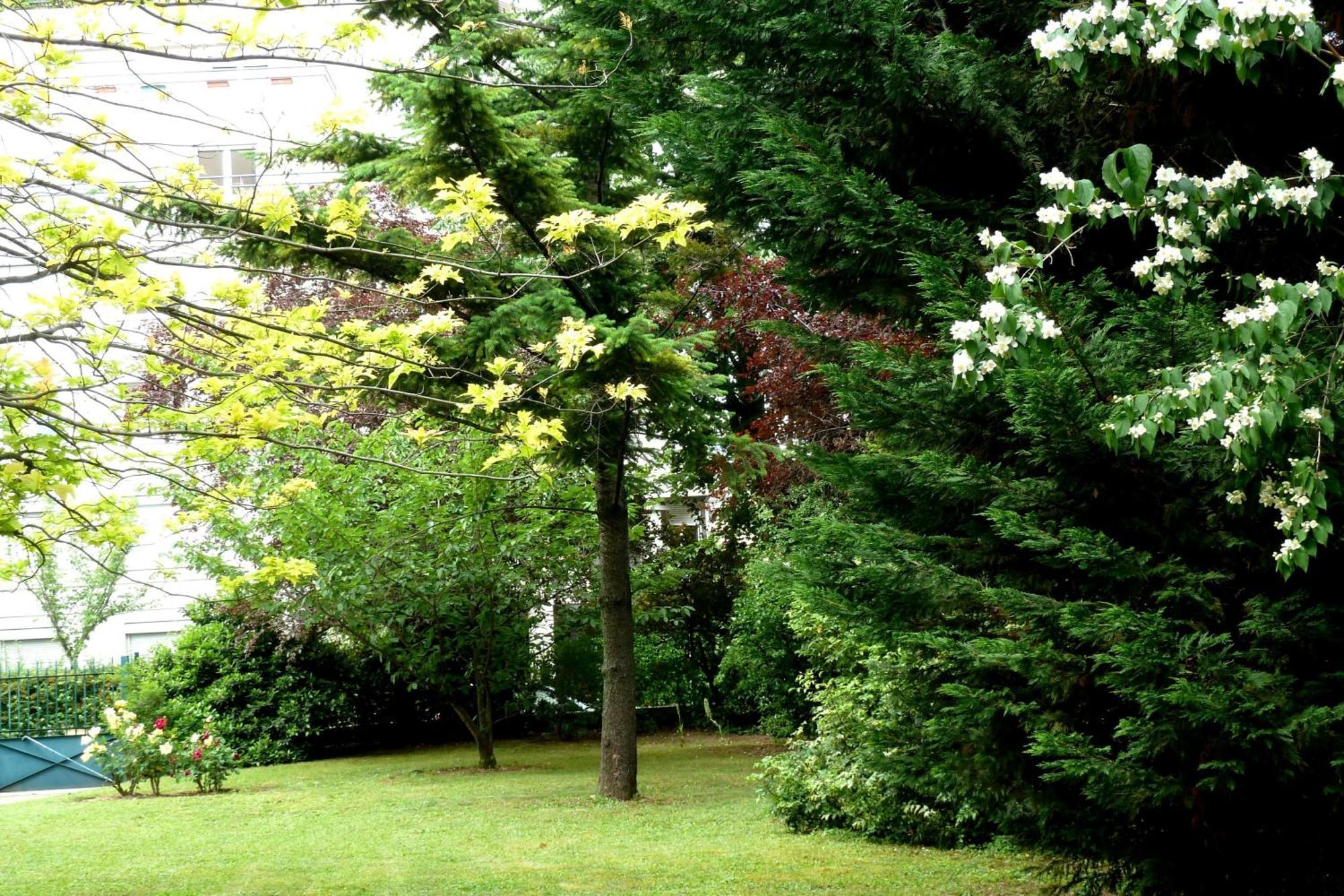 Apartment T1 Bis Monplaisir *